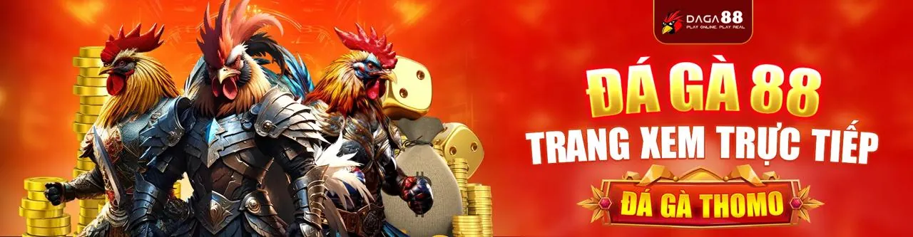 Đá gà trực tuyến kịch tính tại win1 bet